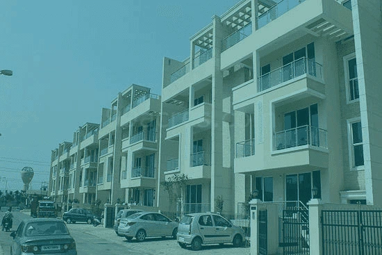 Golf Course Road Builder Floors