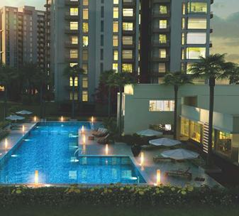 The Melia