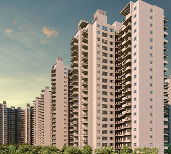 the coralwood