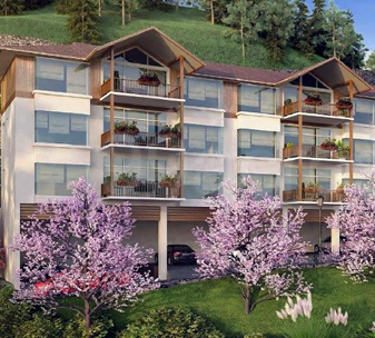 Hill Homes Kasauli