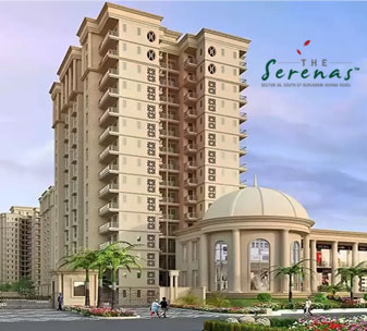 Signature-the-Serenas