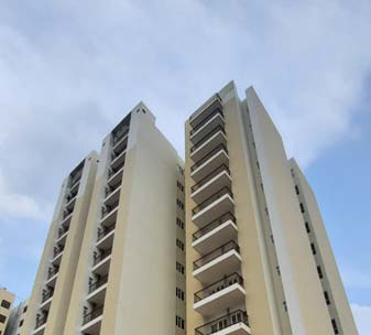 Gls Avenue 51