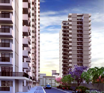 Rama Homes