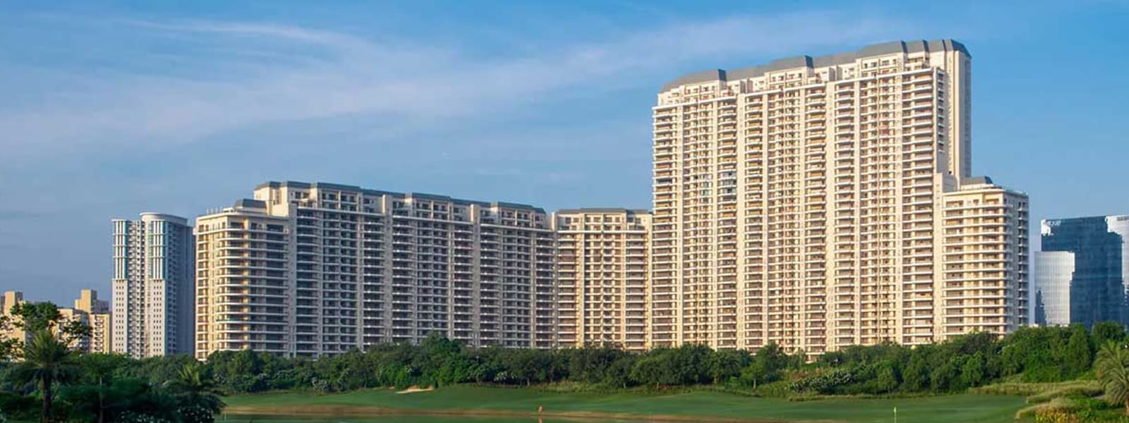 DLF-The-Camellias