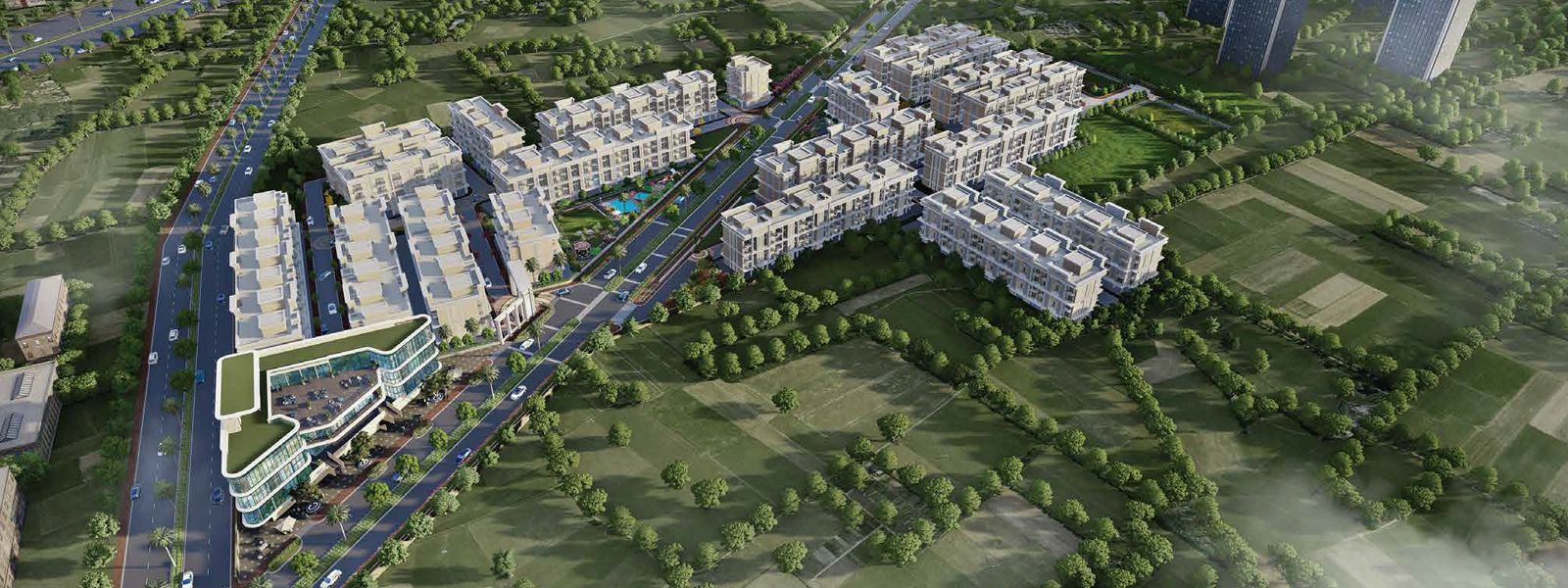 Signature city 81
