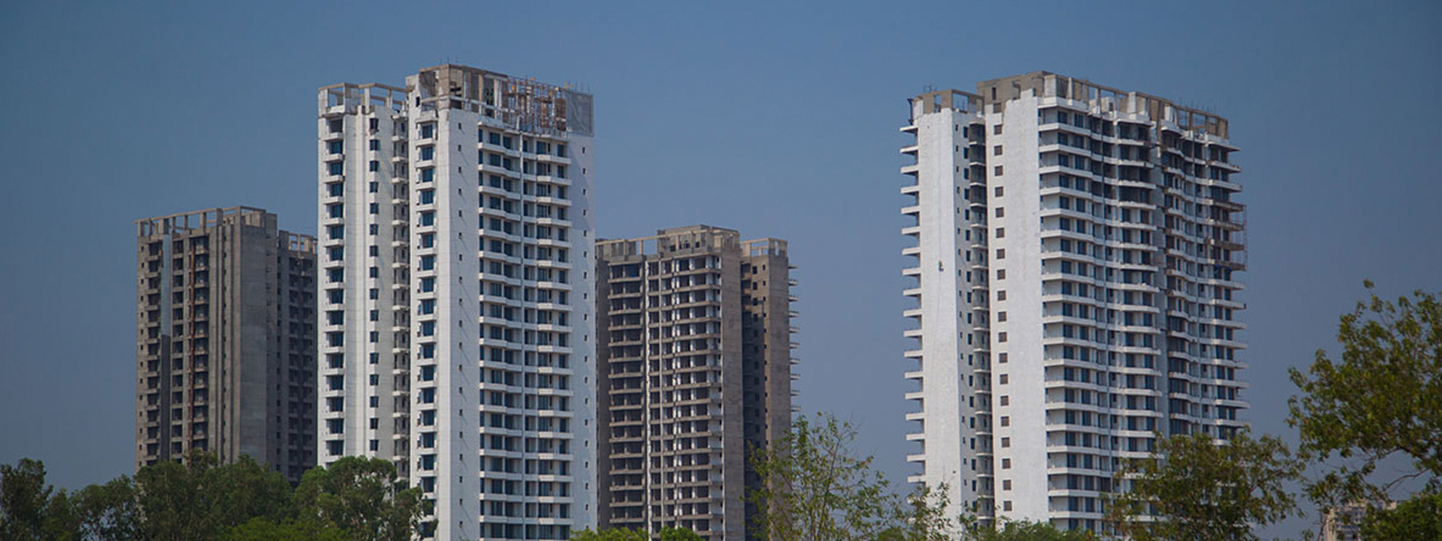 paras dews flats